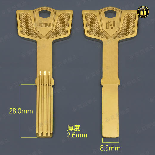 〖B521〗长巨力双排量子 商品图0