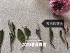2019春寿眉（会员专属定制），兼具春白茶香，秋白茶韵的一款春白茶 商品缩略图3
