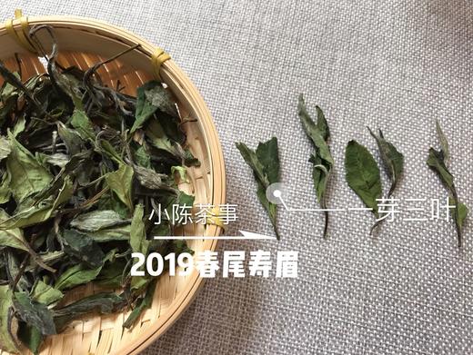 2019春寿眉（会员专属定制），兼具春白茶香，秋白茶韵的一款春白茶 商品图0