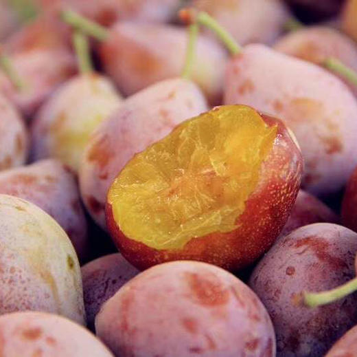 【排单发货】新疆喀什正宗法南西 小西梅 3斤/4斤（挑软的先吃） 商品图10