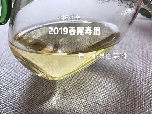 2019春寿眉（会员专属定制），兼具春白茶香，秋白茶韵的一款春白茶 商品图6