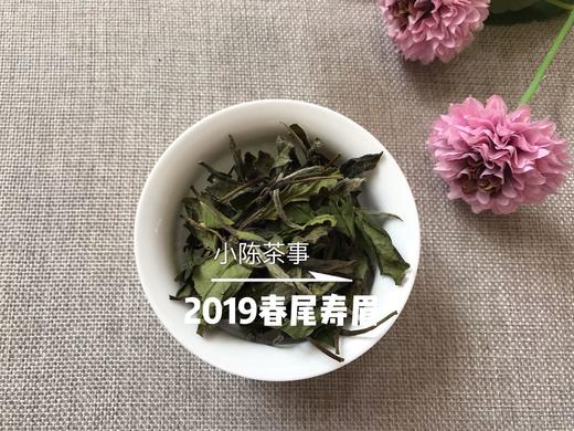 2019春寿眉（会员专属定制），兼具春白茶香，秋白茶韵的一款春白茶 商品图2