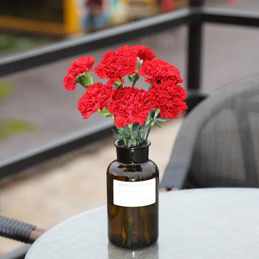 感恩热销丨 康乃馨 商品图2