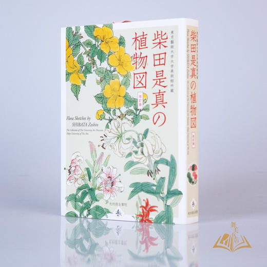 柴田是真の植物図(改訂版）》 - 中国舞美书店