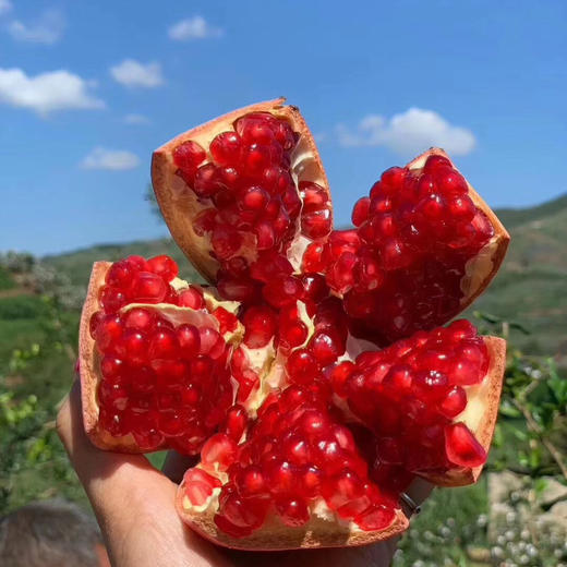 会理突尼斯软籽石榴   5-8斤装 商品图11
