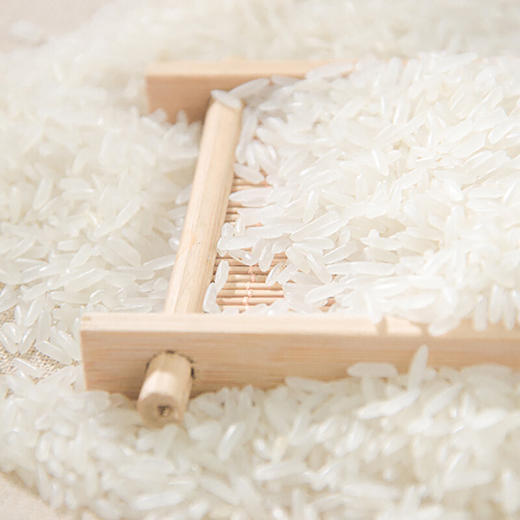 佛冈金鲜美 盈峰农家丝苗米 15kg 广东省内包邮 商品图1