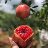 会理突尼斯软籽石榴   5-8斤装 商品缩略图5