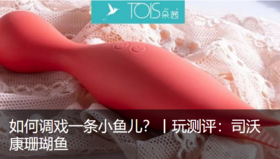 如何调戏一条小鱼儿？丨玩测评