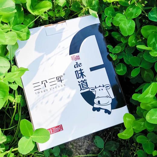 新疆三个三年·天山雪系列 定制纯牛奶 2箱（12瓶X200ml） 商品图12