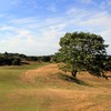 皇家海牙高尔夫乡村俱乐部 Koninklijke Haagsche Golf & Country Club | 荷兰高尔夫球场 俱乐部| 欧洲高尔夫 | Netherlands | 世界百佳 商品缩略图5