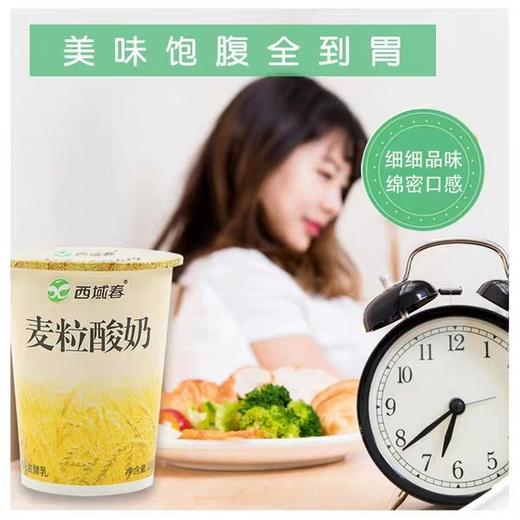 预售新疆西域春麦粒酸奶 有粗粮更健康 12杯原产地发货一星期 商品图3