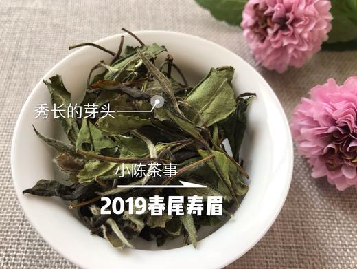 2019春寿眉（会员专属定制），兼具春白茶香，秋白茶韵的一款春白茶 商品图1