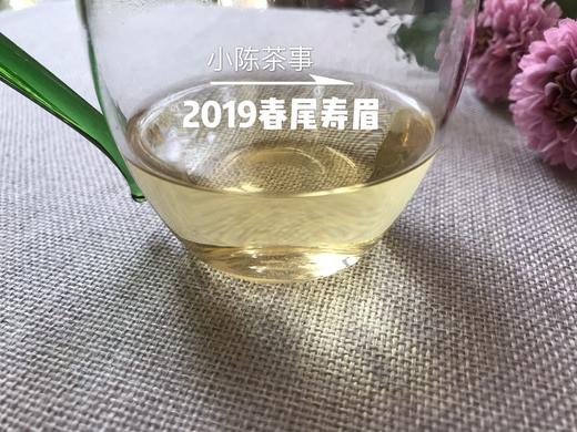 2019春寿眉（会员专属定制），兼具春白茶香，秋白茶韵的一款春白茶 商品图5