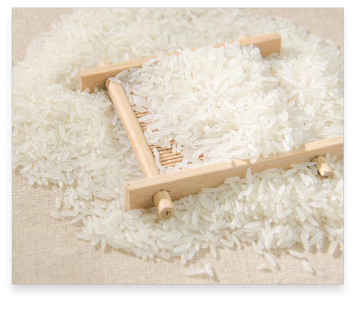 金鲜美 精品油粘米15kg 广东省内包邮 商品图5