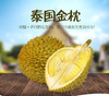 【巴掌秒杀】【香甜软糯】泰国托曼尼榴莲非金枕榴莲冻榴莲2-3斤 商品缩略图6