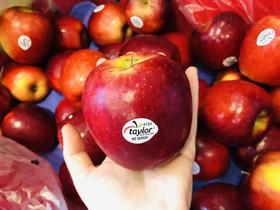 新西兰 小花苹果 色香味俱全，一颗好苹果的样子它都有齿颊留香