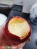 新西兰 小花苹果 色香味俱全，一颗好苹果的样子它都有齿颊留香 商品缩略图2