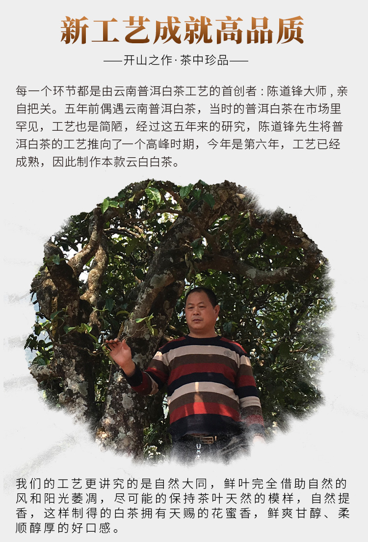 冰岛五寨300-500年古树普洱白茶饼 普洱大师陈道峰制 - 双子塔号旗舰