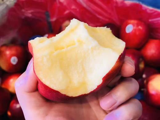 新西兰 小花苹果 色香味俱全，一颗好苹果的样子它都有齿颊留香 商品图1