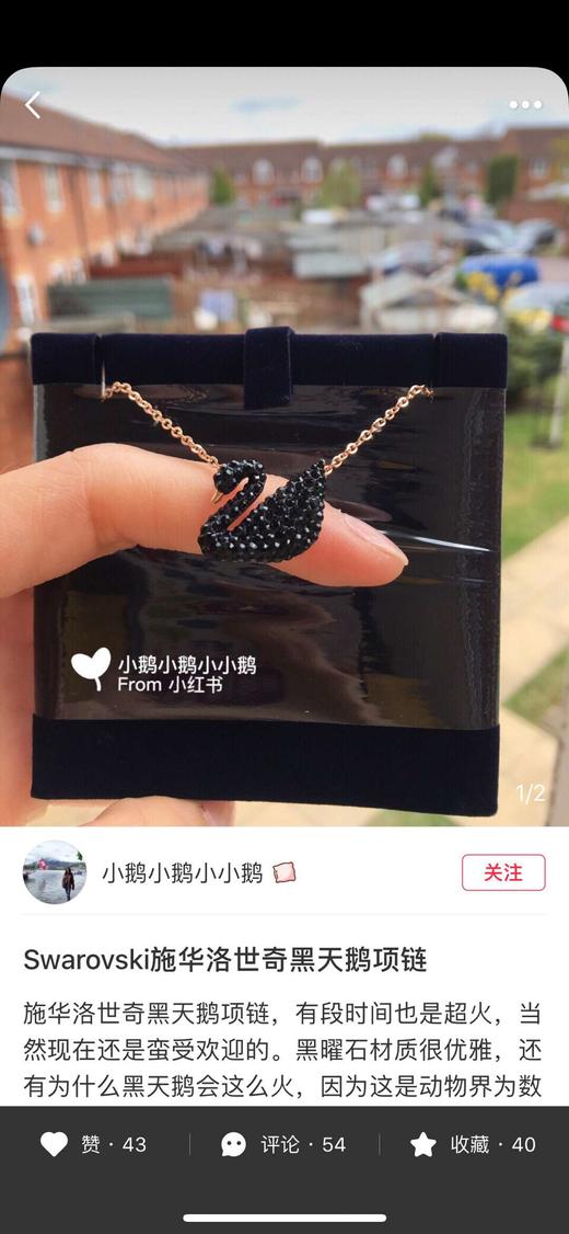 小天鹅项链 商品图4