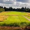 埃斯比约高尔夫俱乐部 Esbjerg Golfklub | 丹麦高尔夫球场 俱乐部 | 欧洲高尔夫 | Denmark Golf 商品缩略图2