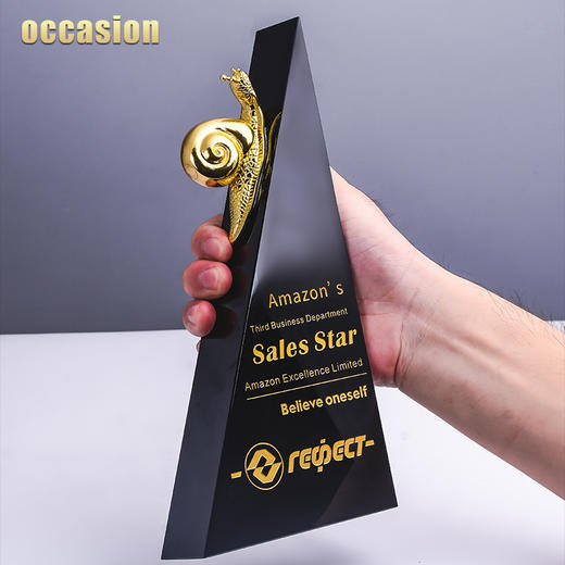 水晶奖杯定制定做黑色金属蜗牛企业颁奖荣誉冠军儿童奖牌刻字制作 商品图1