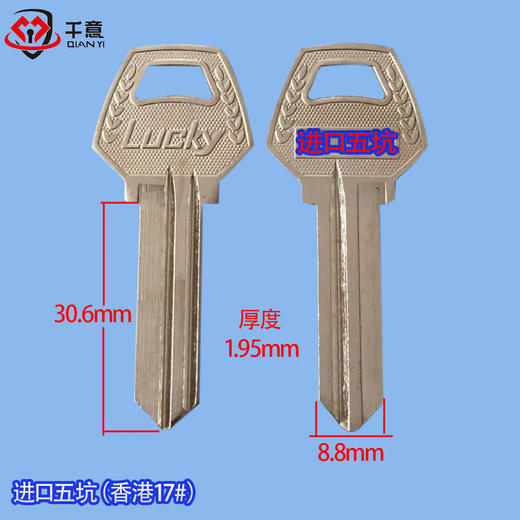 先香港17#（进口五坑） 商品图0