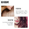 英国kent梳子肯特梳子英国进口猪鬃梳滚梳卷发梳造型梳子美发梳JPY带授权招加盟代理 商品缩略图3