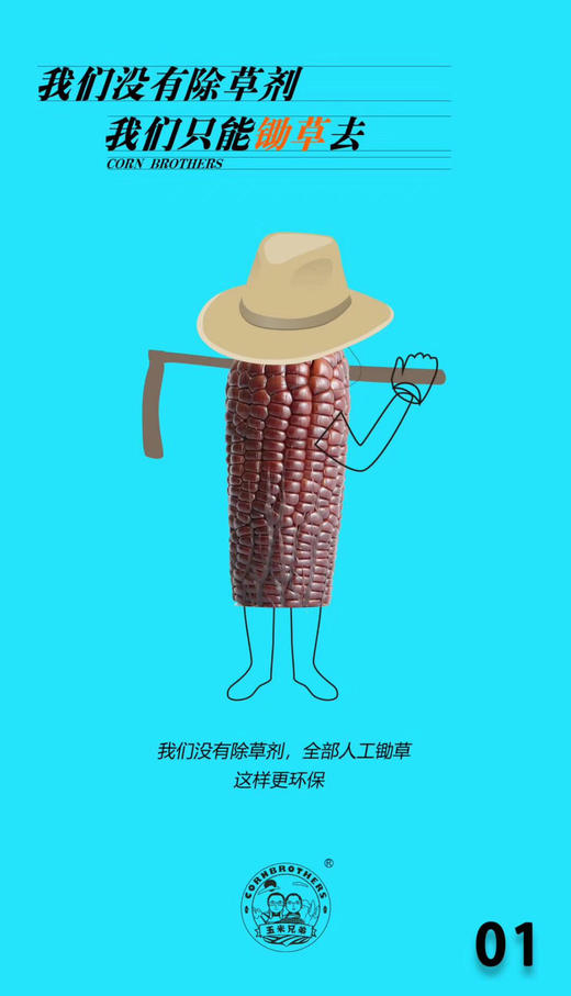 玉米兄弟 糯玉米 商品图3