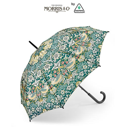 联名款进口超轻枫木晴雨伞女士艺术长柄伞 - 忌平庸名牌折扣全球购