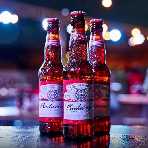 百威旋盖啤酒300ml12瓶红蓝随机发货有票