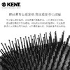 英国KENT肯特梳子气垫梳女士顺发梳按摩梳直卷发梳JPY带授权招加盟代理 商品缩略图3