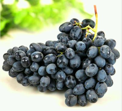 新疆黑宝石无籽黑提一份约1100g - 缤果快跑-口感更好的精品水果