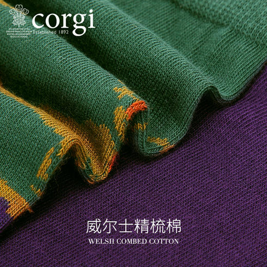 CORGI柯基英国进口男士中筒小腿袜英式场景印花精梳棉薄款长袜JPY带授权招加盟代理 商品图2