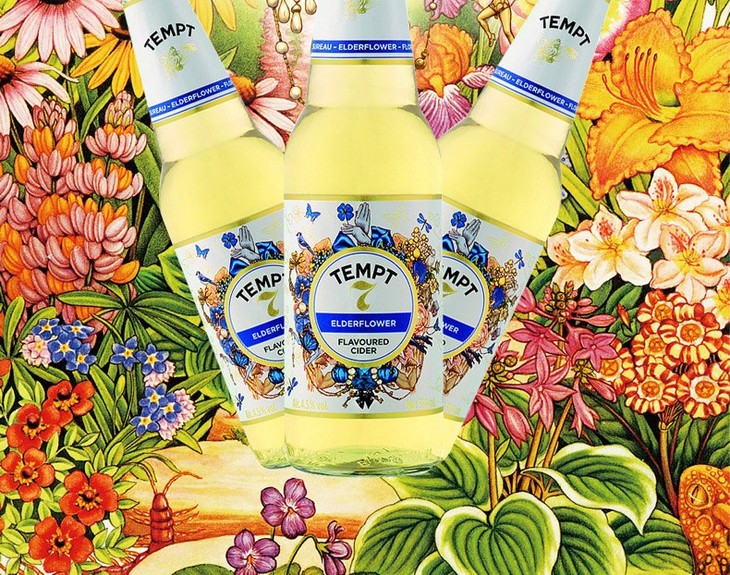 发顺丰进口西打酒诱惑果香啤酒3号7号8号9号随机发6瓶