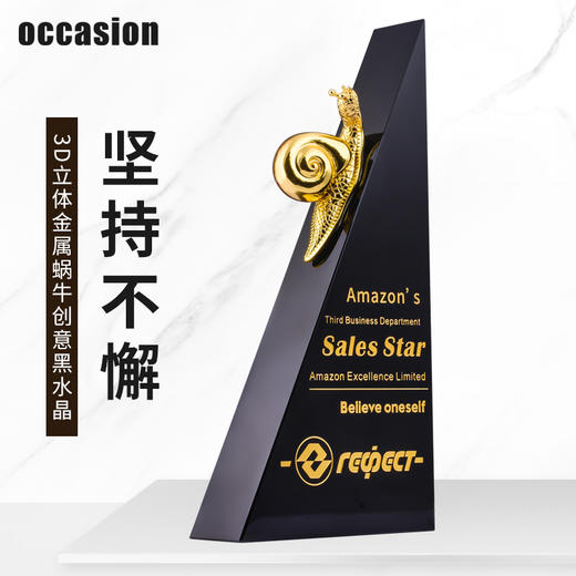 水晶奖杯定制定做黑色金属蜗牛企业颁奖荣誉冠军儿童奖牌刻字制作 商品图0
