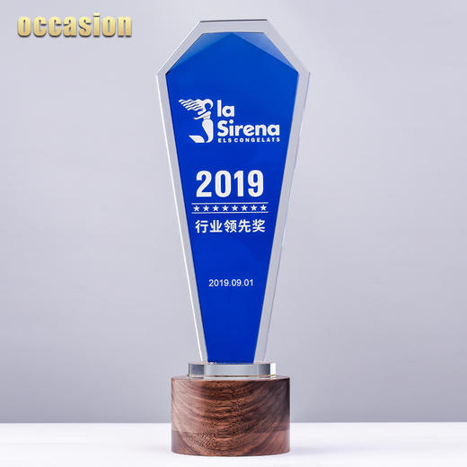 水晶奖杯定制实木底座定做优秀员工颁奖荣誉奖牌纪念品刻字制作 商品图1