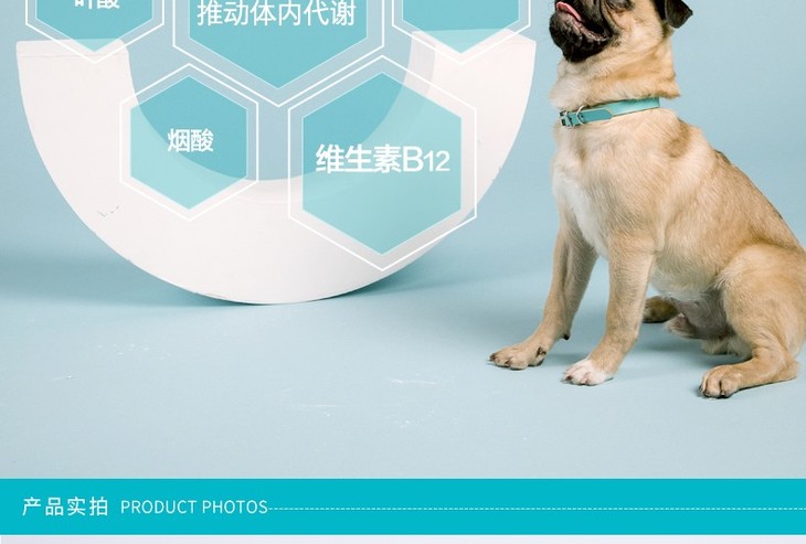 卫仕宠物消食片400片狗狗调理肠胃有票