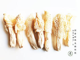 【豆妈家】织金红托无硫竹荪