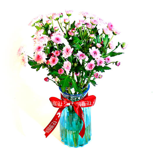 人气单品丨小雏菊 商品图2