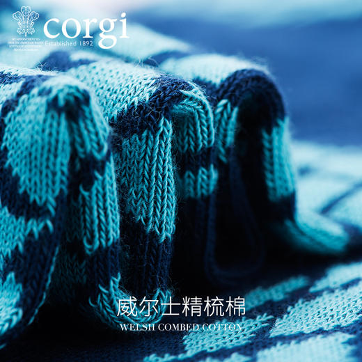 CORGI柯基英国进口男士长袜蓝色菠萝印花精梳棉薄款透气中筒袜JPY带授权招加盟代理 商品图2