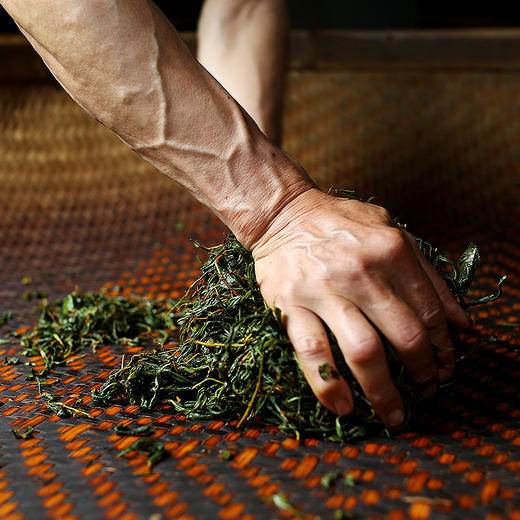 一叶归真竹林野茶 | 珍稀百年竹林茶树，正山小种核心原产地，高山蜜韵，送礼大方 商品图4