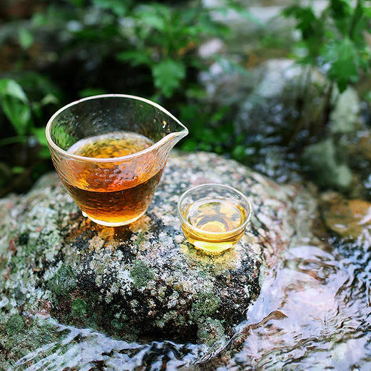 一叶归真竹林野茶 | 珍稀百年竹林茶树,正山小种核心原产地,高山蜜韵