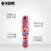 英国kent梳子肯特进口气垫按摩梳顺发小巧便携多彩印花梳子JPY带授权招加盟代理 商品缩略图1