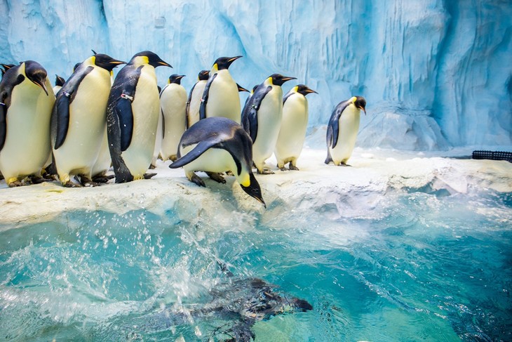 CvoiLFlMfyGAa_YrABohj7HYk-o759 (1).jpg