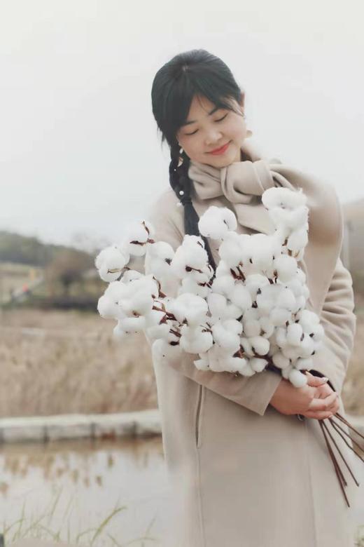 棉花-白色，1枝（图示有多枝） 商品图1