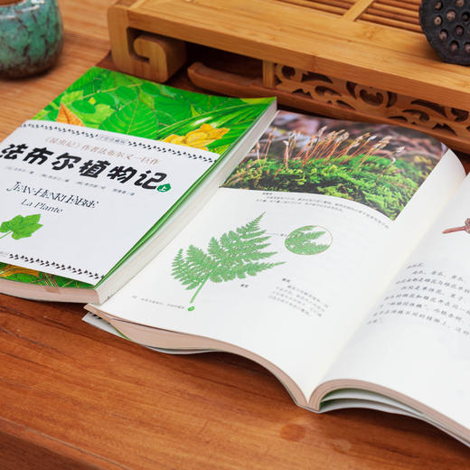 法布尔植物记 手绘珍藏版(2册)  少儿 商品图2