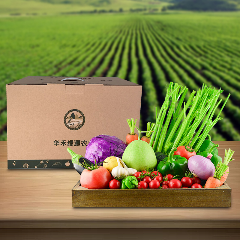 有机蔬菜礼盒    （品种随机搭配）（6份装4-6斤）广东省内包邮