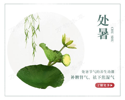 处暑顺时打卡 商品图0