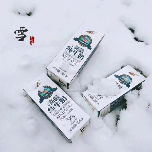 子母河纯牛奶新疆纯牛奶优质牧场纯牛奶